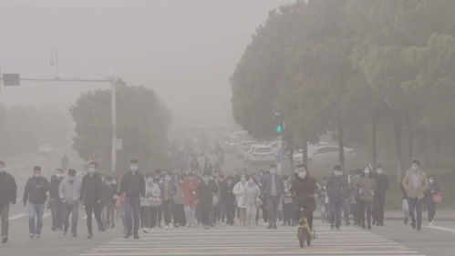 “武汉疫情什么时候开始的” 武汉疫情什么时候开始的封城？