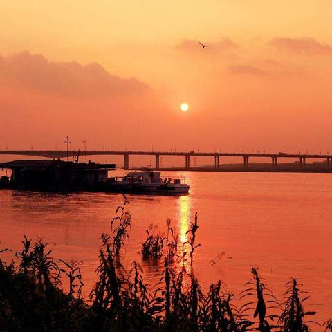 31省区市新增本土确诊2例在安徽-31省份新增5例本土病例在安徽