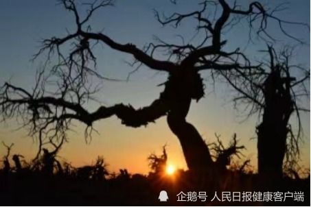 本土确诊78例额济纳旗是什么地方,额济纳旗新增病例活动轨迹